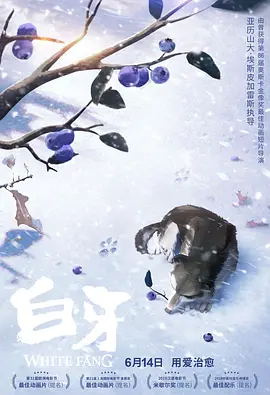 久久久精品在观看999